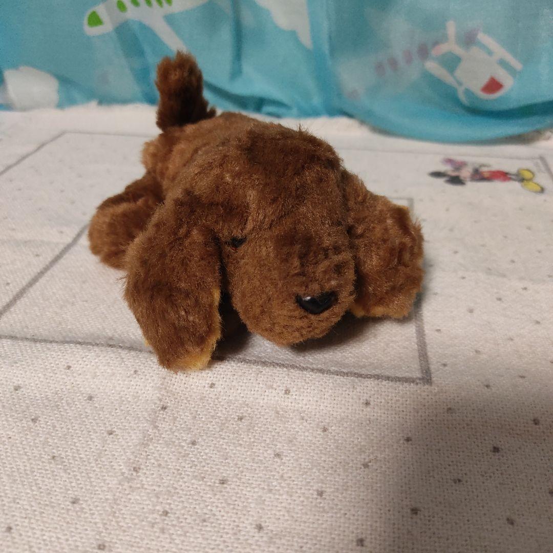 モンスイユ 犬 ぬいぐるみ MONSEUIL パプス