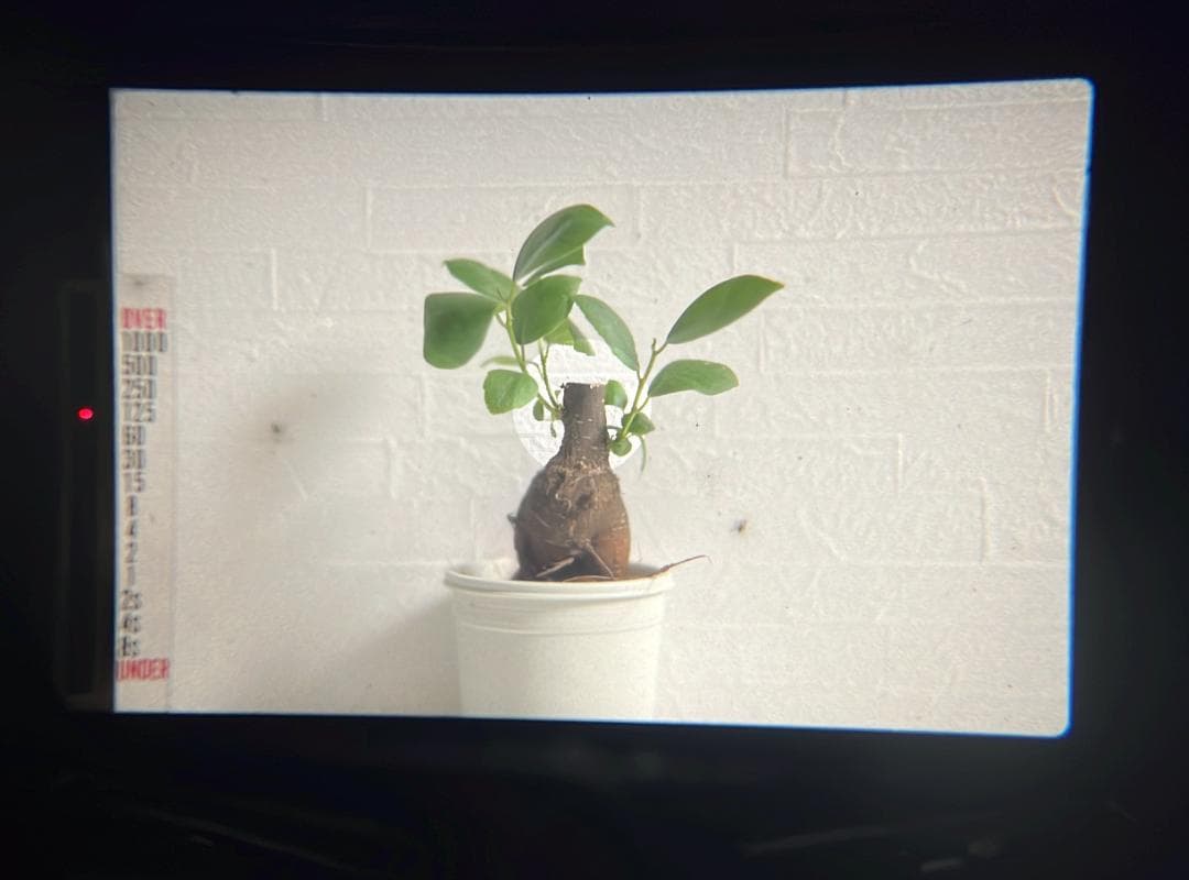 【動作品】PENTAX ME フィルムカメラ + SMC 50mm f/1.4