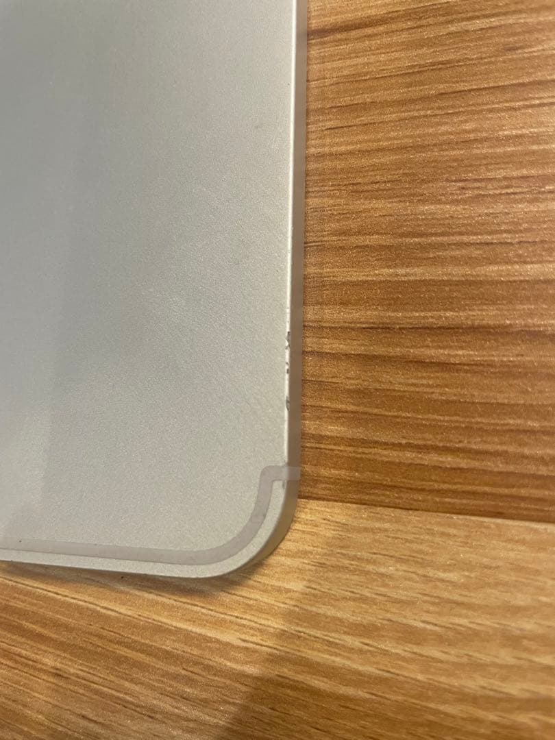 iPad Pro 第1世代 + Apple Pencil 第2世代