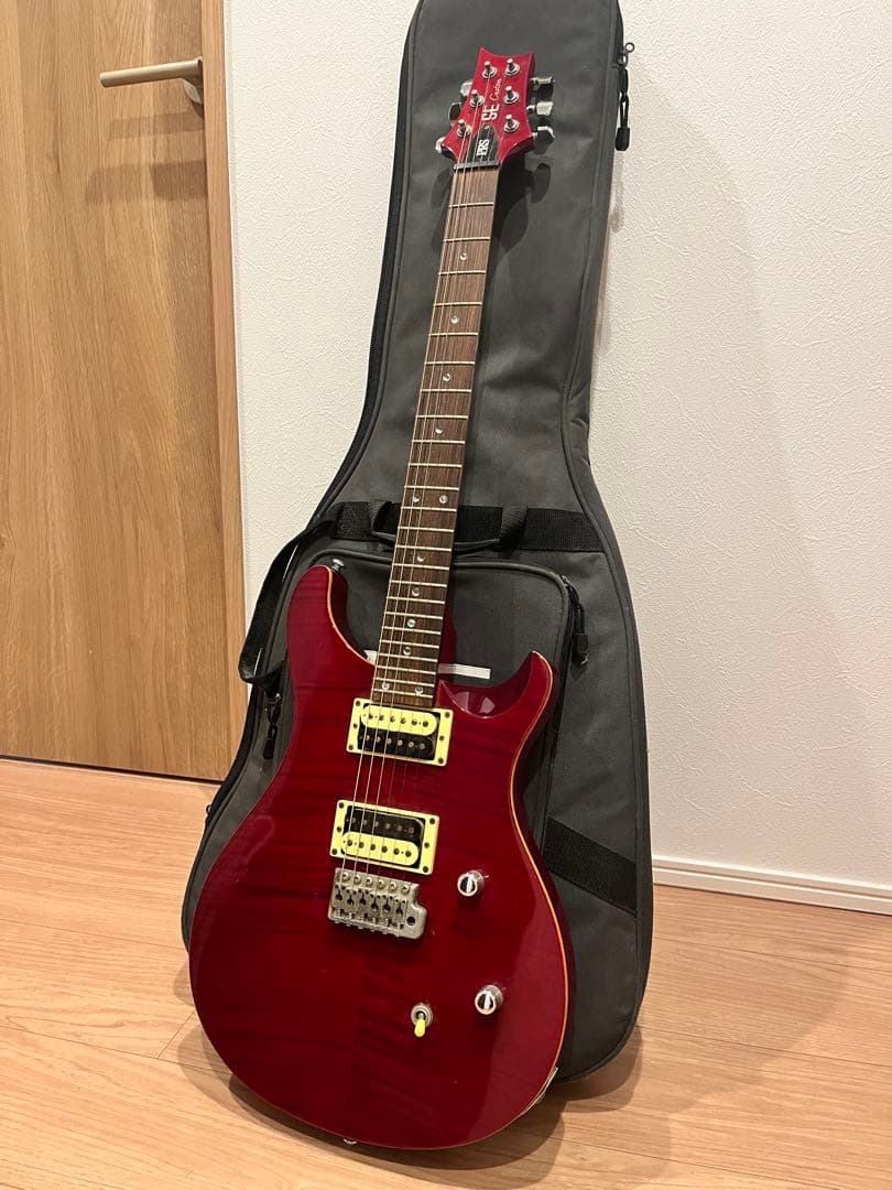 PRS SE Custom 24 ポールリードスミス