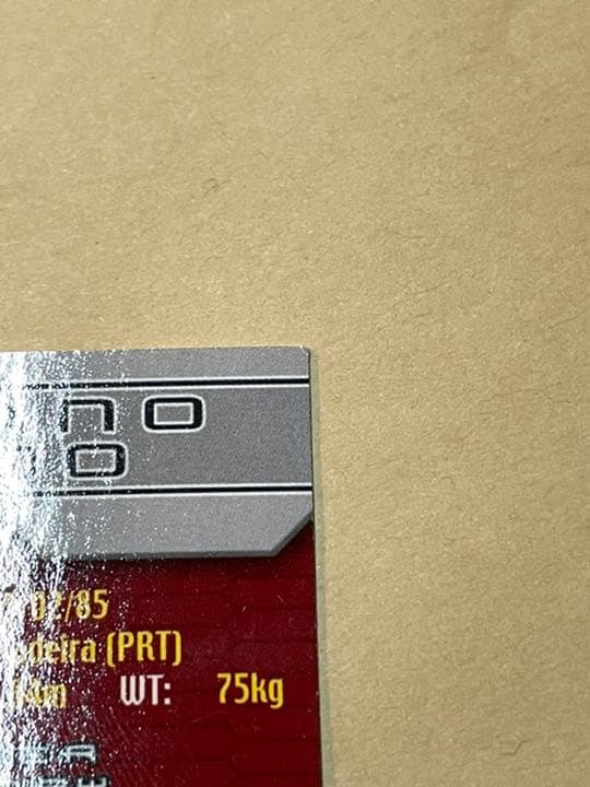 クリスティアーノ・ロナウド 2004 ルーキーカード Topps