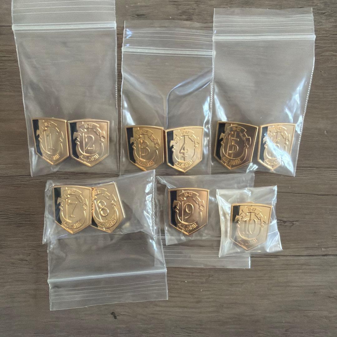 新テニスの王子様　U-17日本代表ピンズ 全10種 セット Genius10