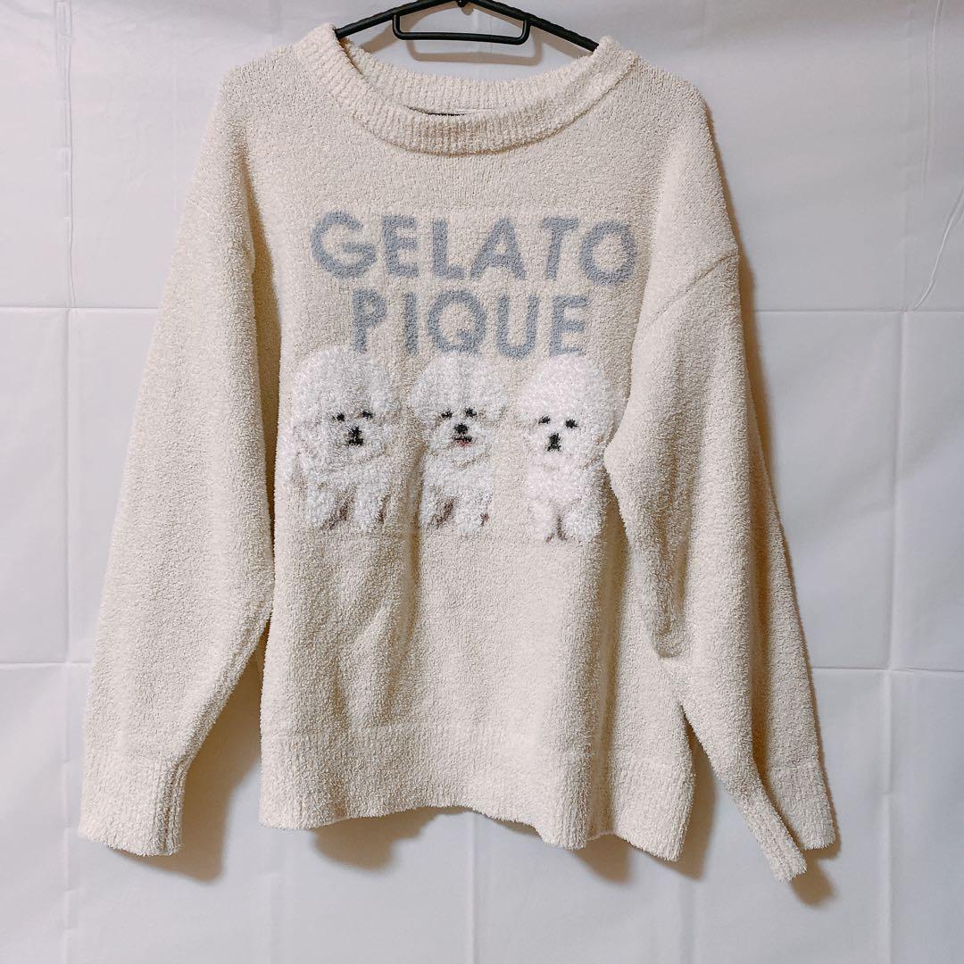 ビションフリーゼ　犬　ドッグ　プルオーバー　パンツ　ボーダー　上下セット