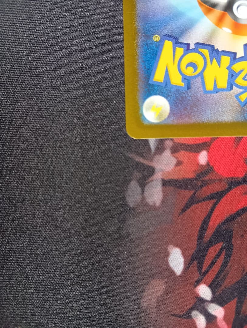 ポケモンカード ゼクロムex SAR