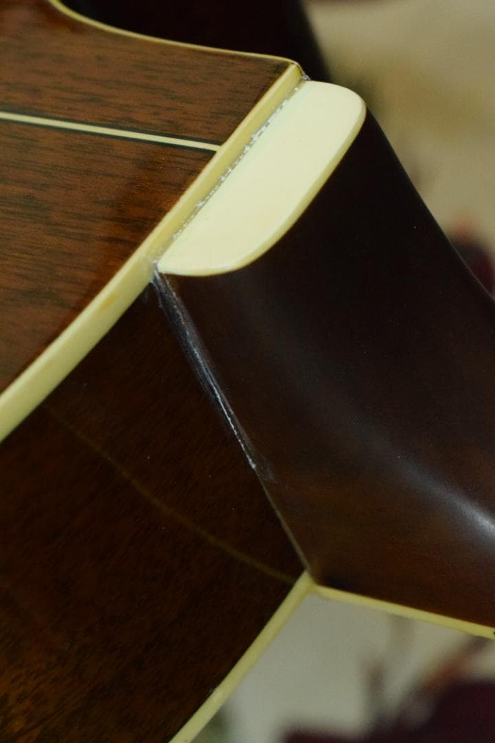 Morris MR-451BS エレアコ ケース付