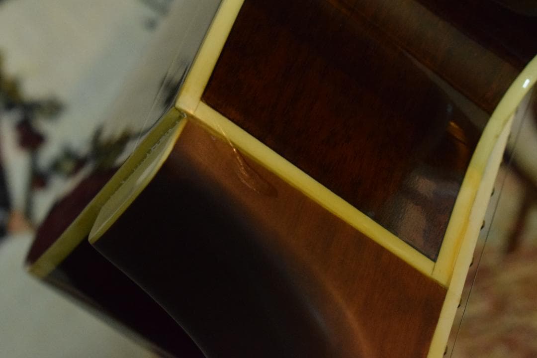 Morris MR-451BS エレアコ ケース付