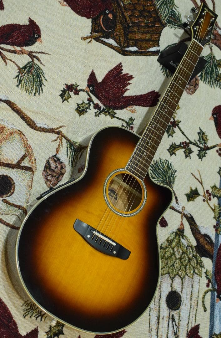 Morris MR-451BS エレアコ ケース付