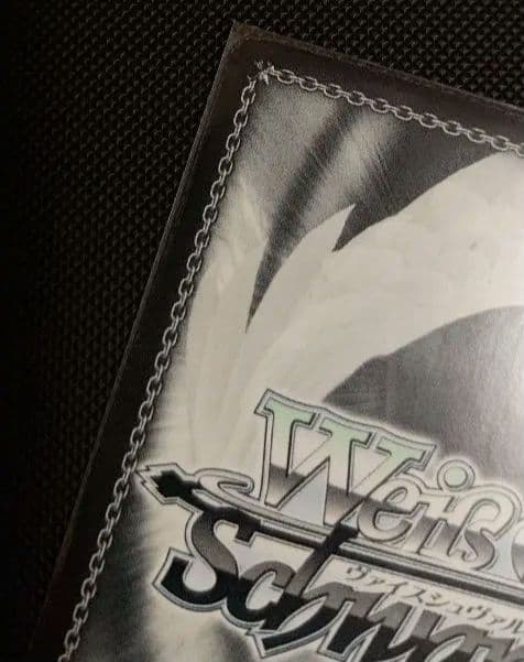 ヴァイスシュヴァルツ　無職転生　ＳＰ君にあげられるもの　ロキシー