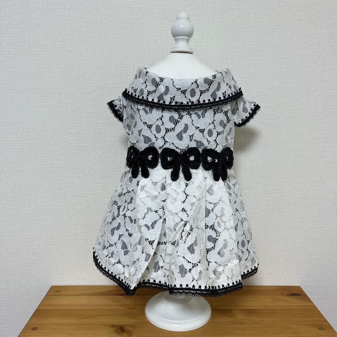 グラマーイズム アンジー Mサイズ ワンピース お嬢様 ワンピ