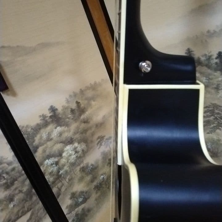 アコースティックギター 黒 ブラック　カスタム　Tay○or パールシェル製