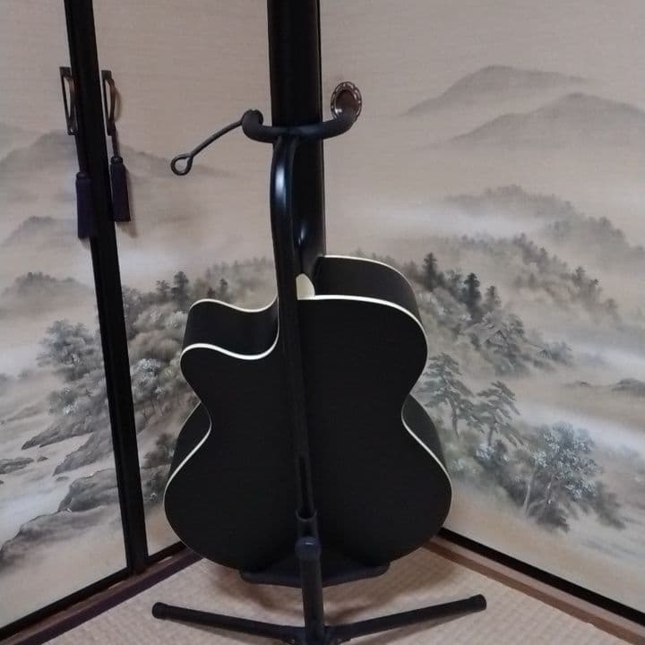 アコースティックギター 黒 ブラック　カスタム　Tay○or パールシェル製
