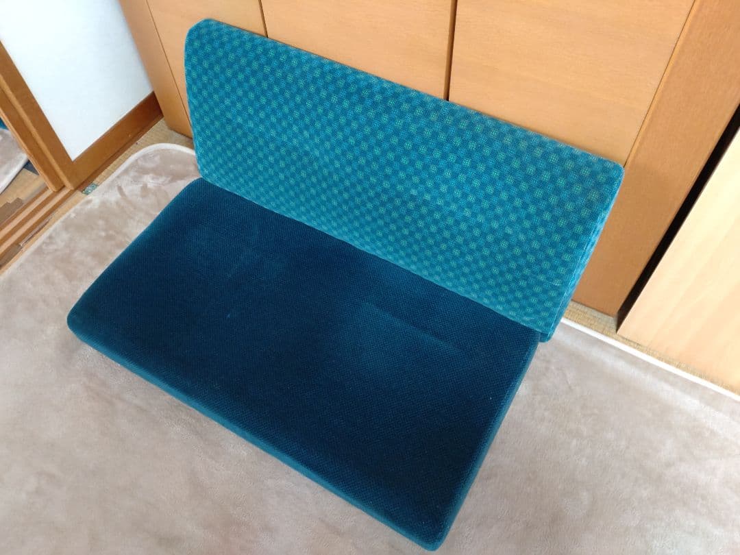 JR東日本 211系電車　2人掛け座席