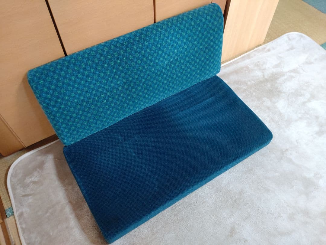 JR東日本 211系電車　2人掛け座席