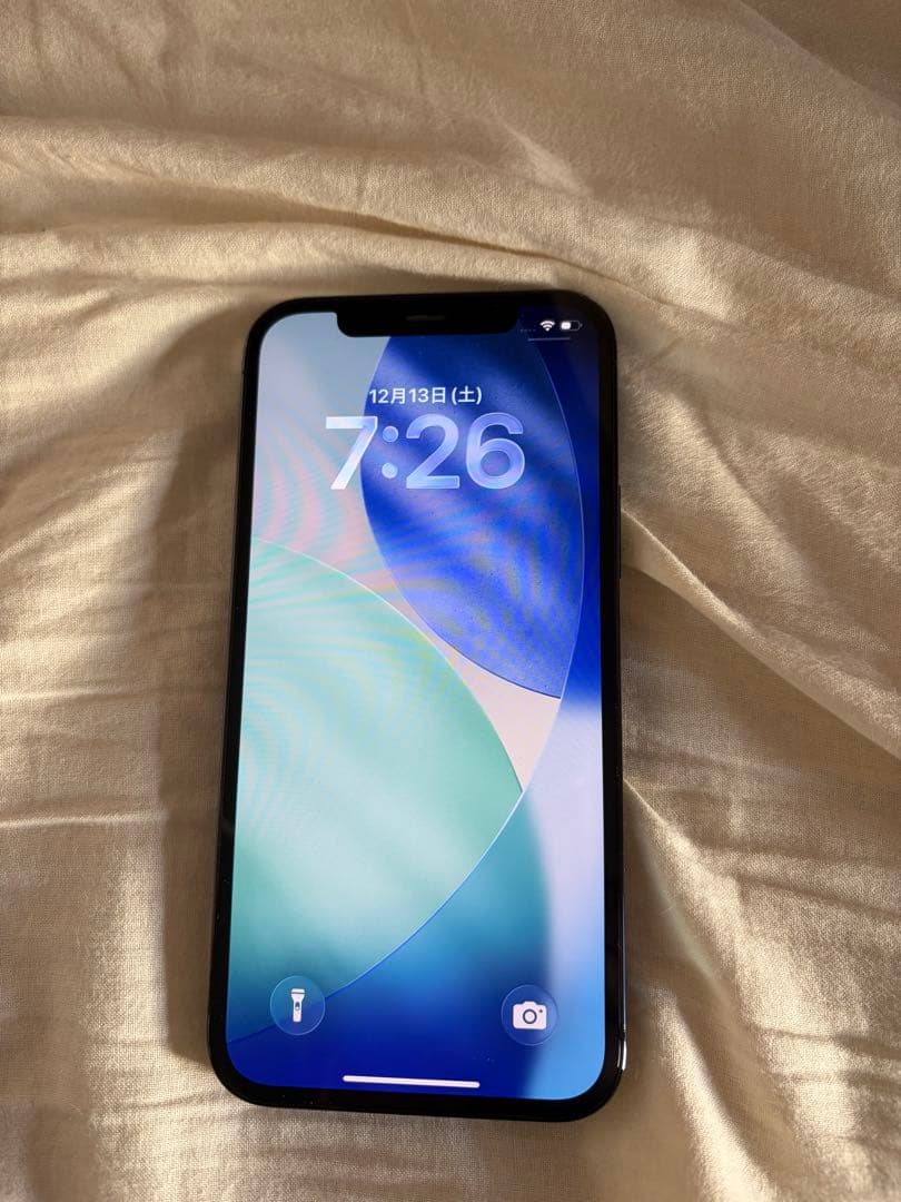 Apple iPhone12Pro 本体