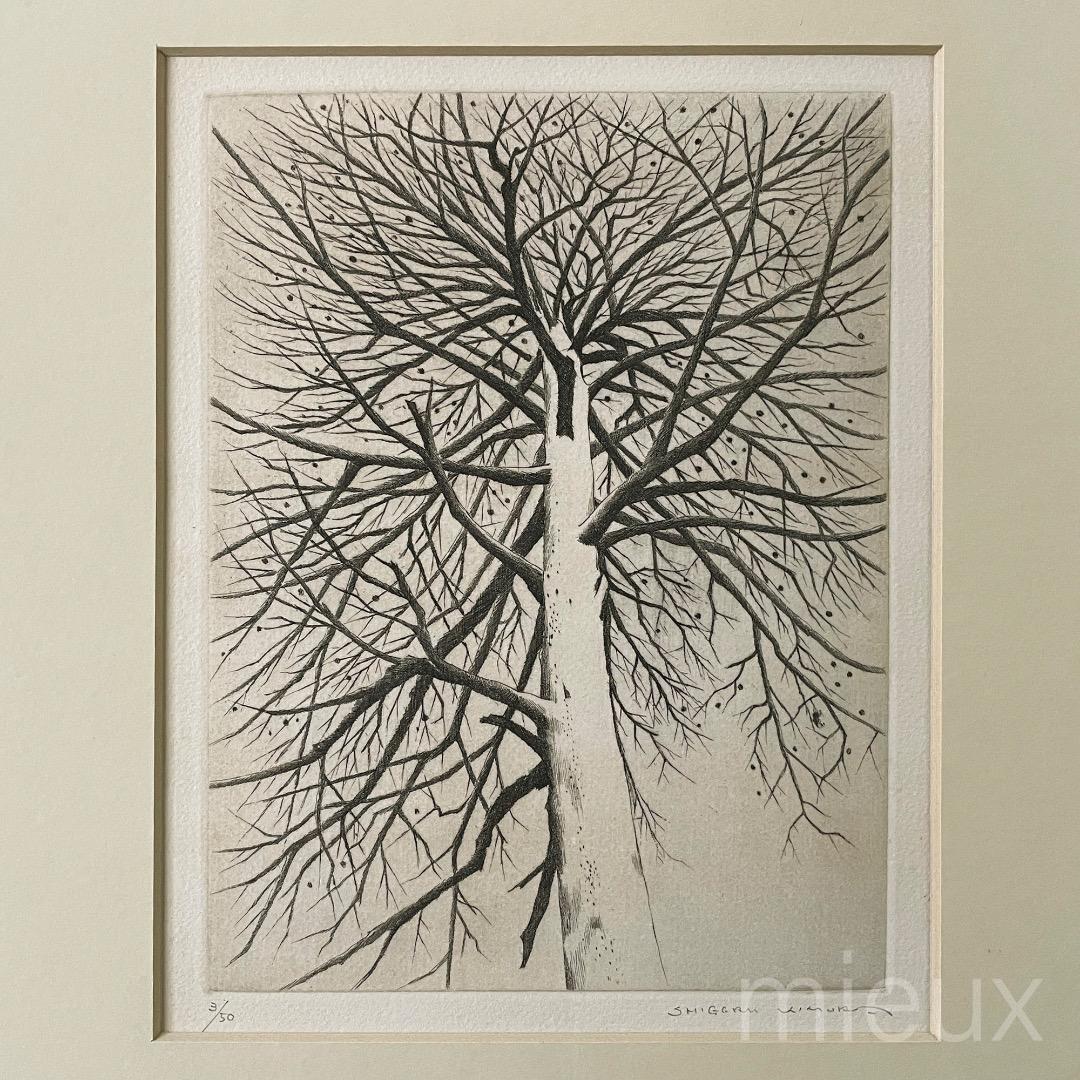 木村茂「立枯木 F」エッチング 額付 サイン入り 中古 美品