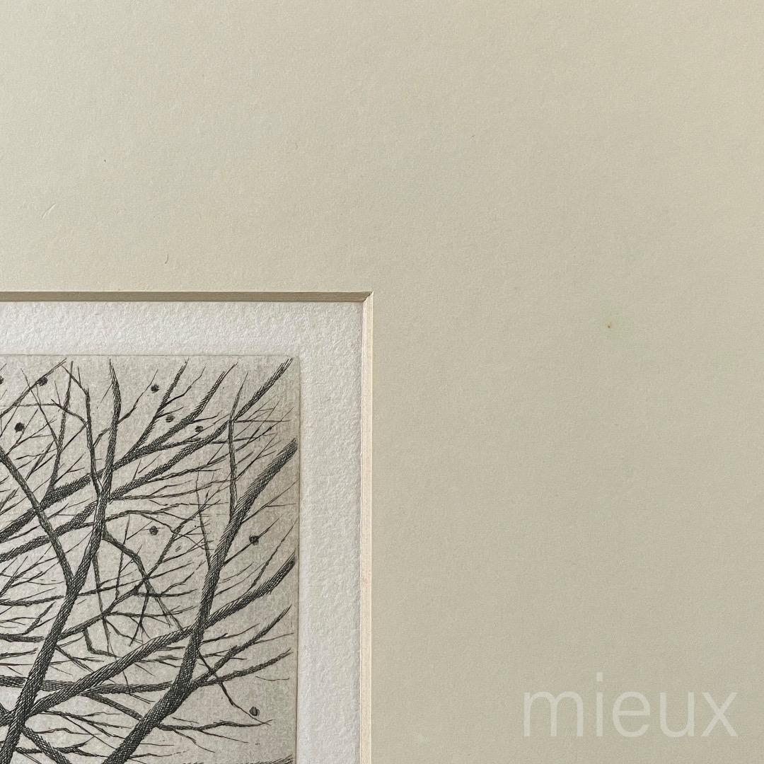 木村茂「立枯木 F」エッチング 額付 サイン入り 中古 美品