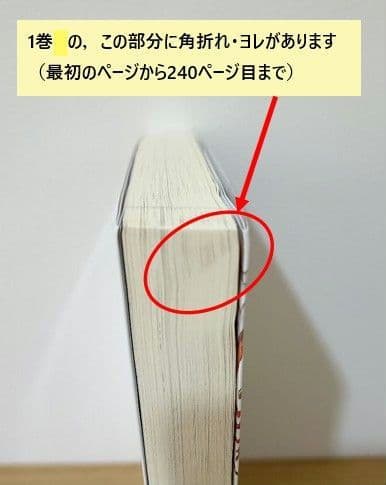 転生した大聖女は、聖女であることをひた隠す (ノベル) 1巻〜11巻セット