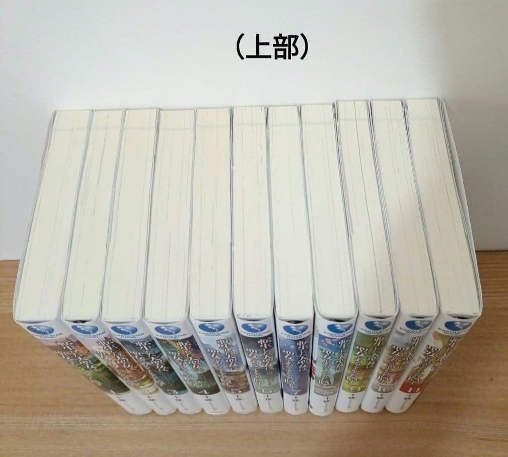 転生した大聖女は、聖女であることをひた隠す (ノベル) 1巻〜11巻セット