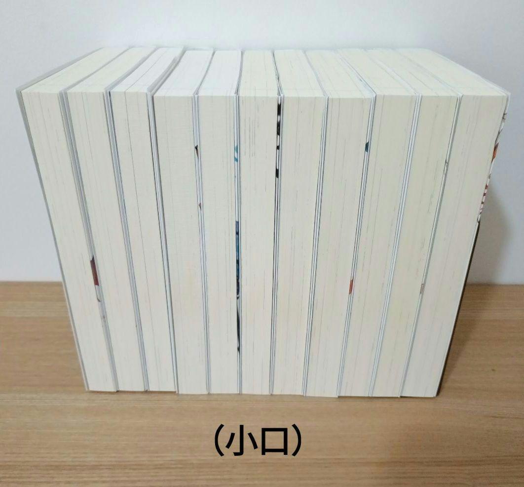 転生した大聖女は、聖女であることをひた隠す (ノベル) 1巻〜11巻セット