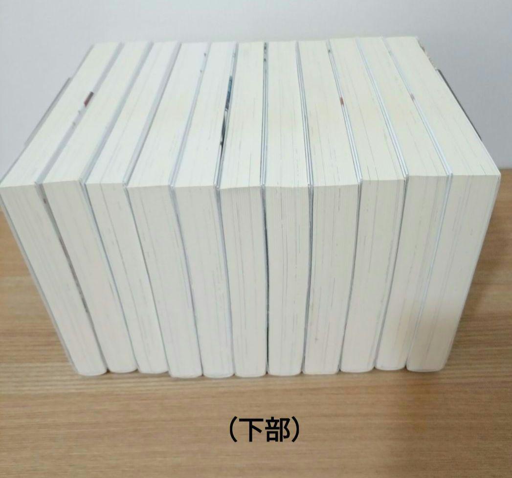 転生した大聖女は、聖女であることをひた隠す (ノベル) 1巻〜11巻セット