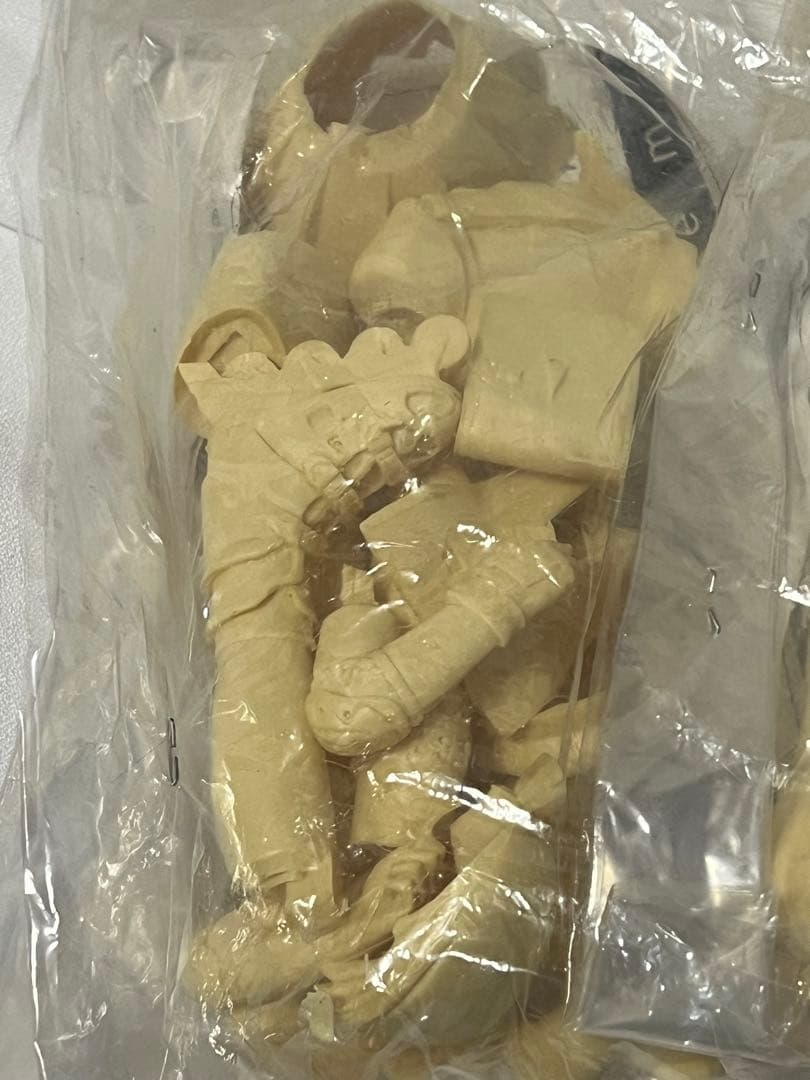 カードキャプターさくら 木之本桜&大道寺知世 制服ver.ガレージキット 宮川武