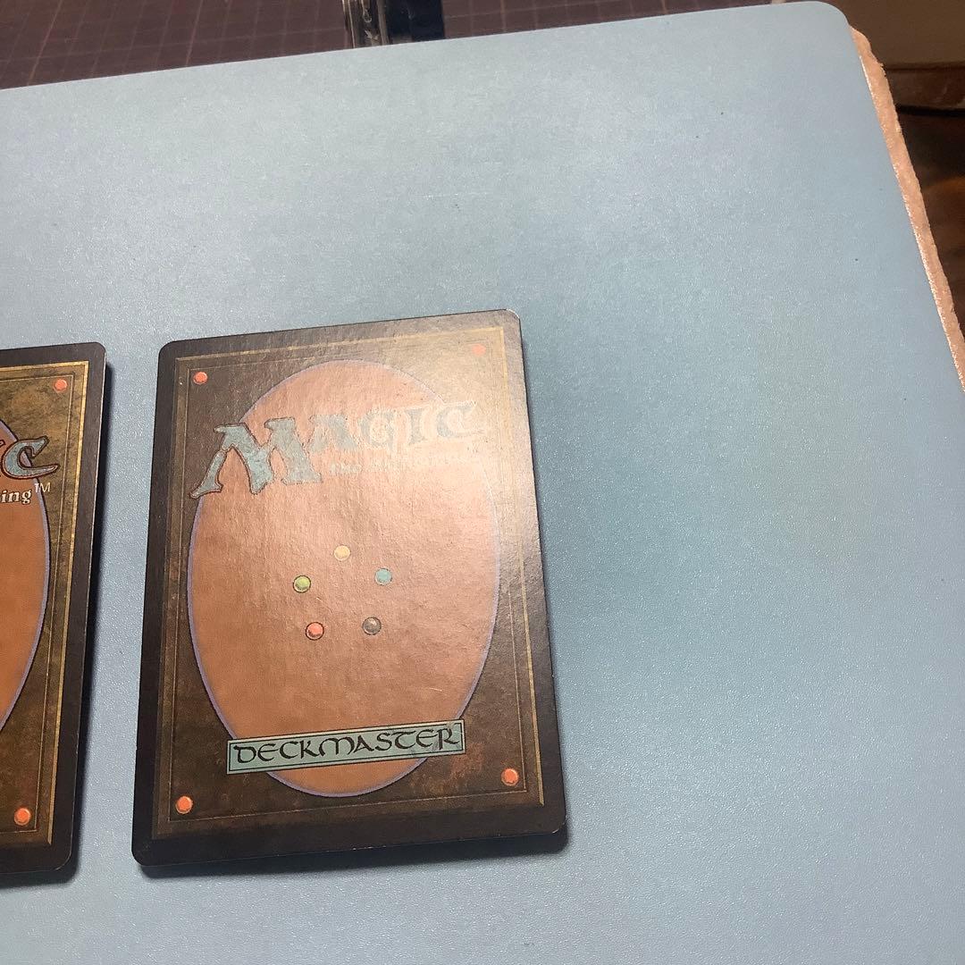 *バラ売り可*  神聖なる泉　 DIS日本語2枚セット