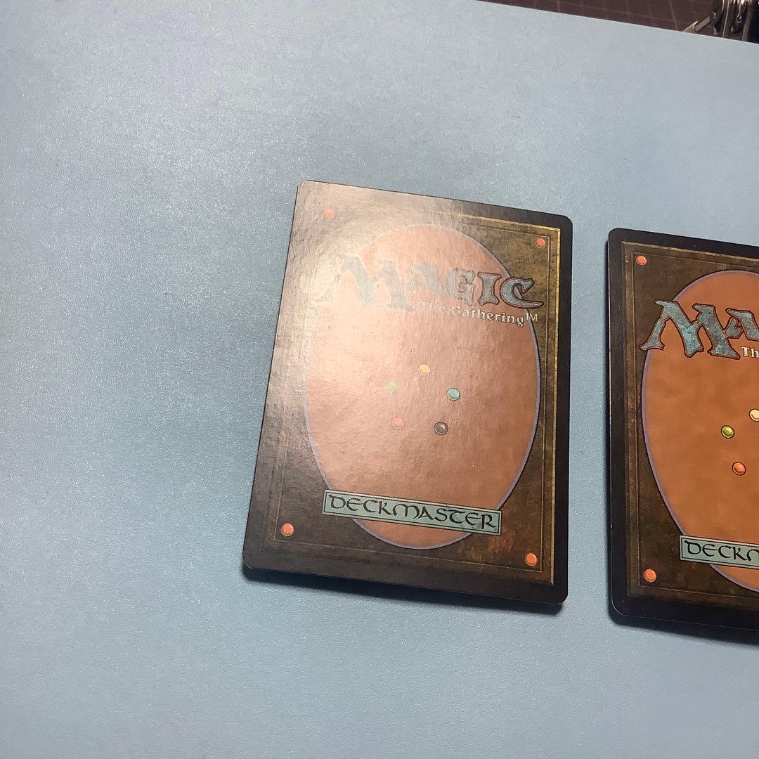 *バラ売り可*  神聖なる泉　 DIS日本語2枚セット