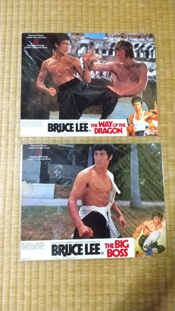 最終値下げ！激レア 希少 ブルース・リー 海外劇場版 ロービーカード 6種