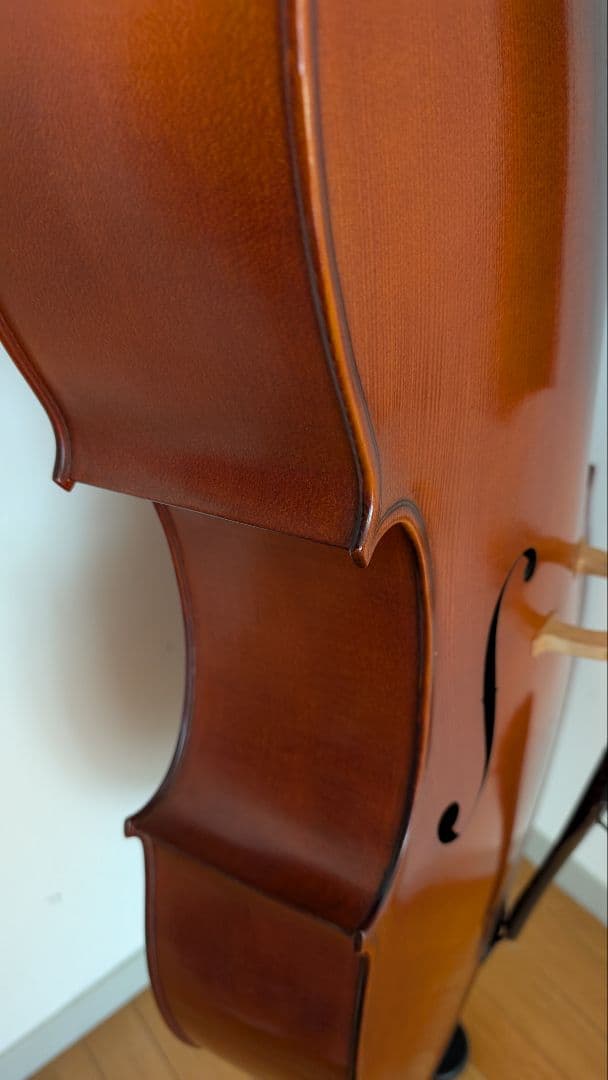 チェロ【GLIGA】 ギグケース付き 直接お渡し