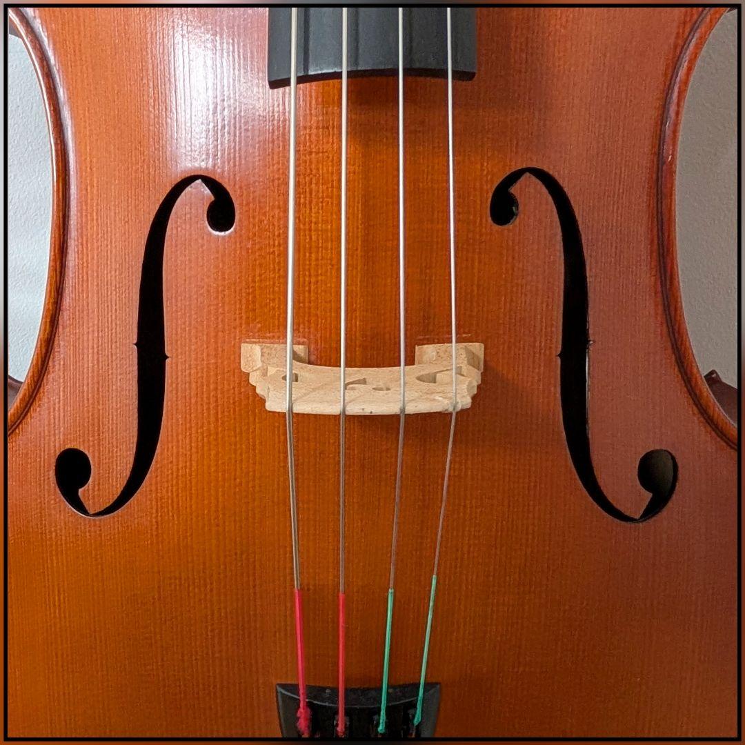 チェロ【GLIGA】 ギグケース付き 直接お渡し