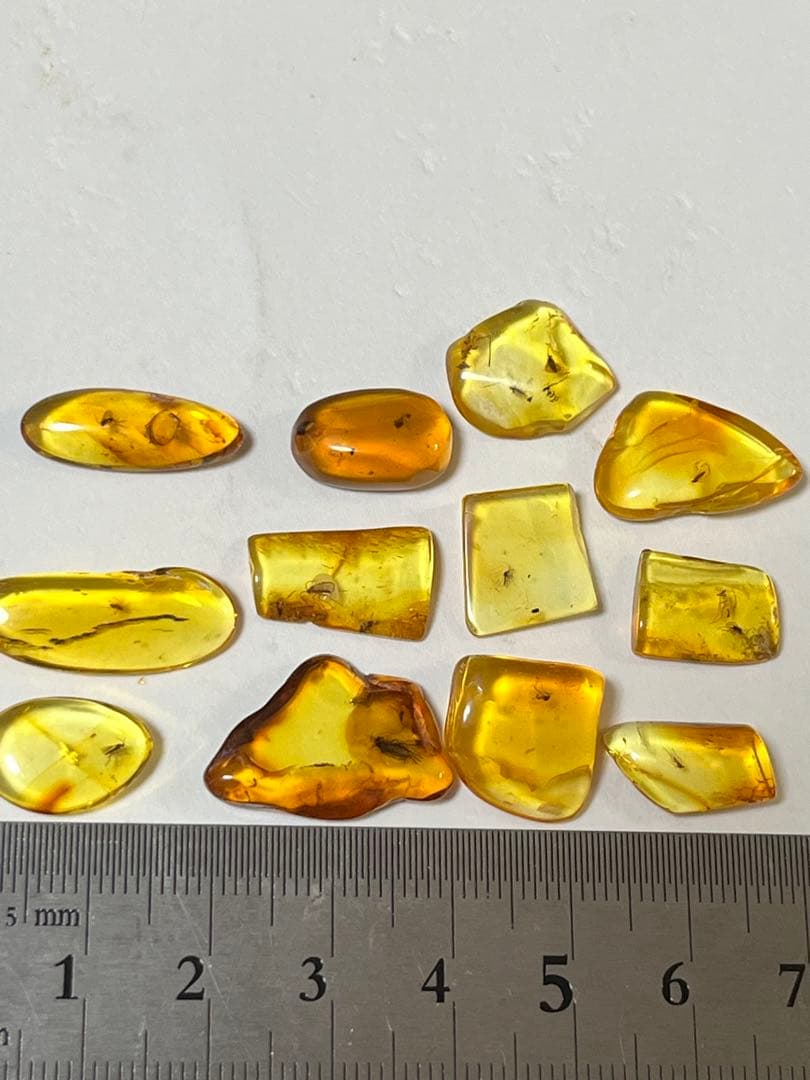 バルト海産　虫入り琥珀　12個セット　全て虫入り　本物保証　良いコンディション