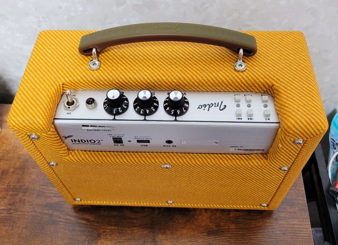 しーちゃん　Fender Indio2 TWEED