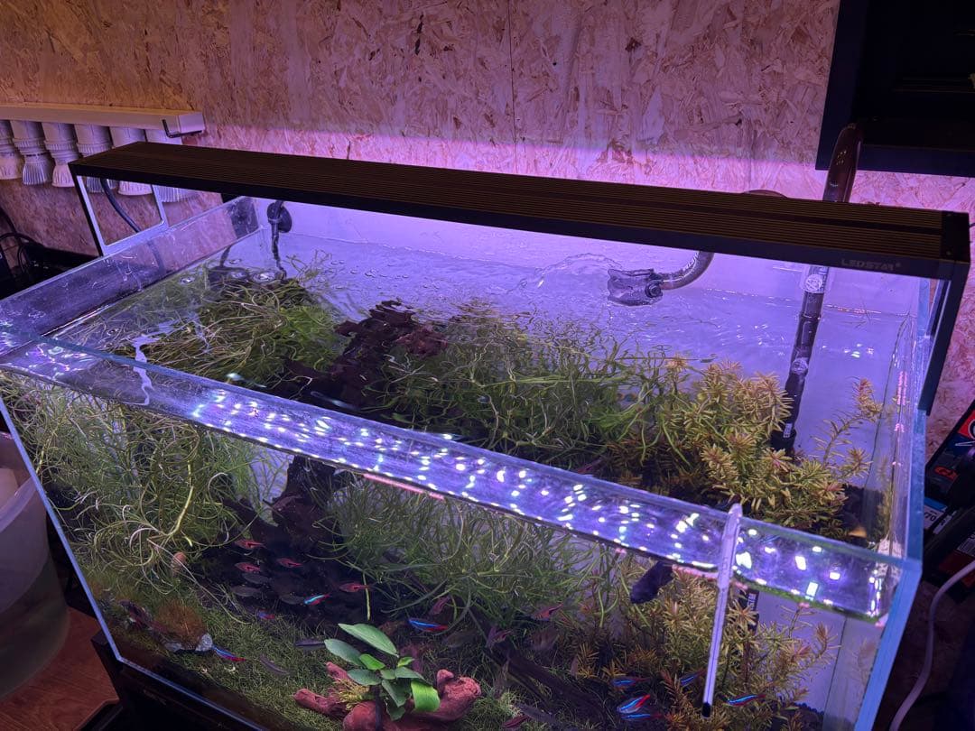 LEDSTAR S2 60cm ライト