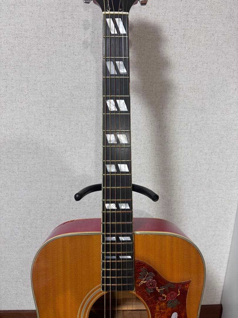 Morris MG-80オール単板 ジャパンビンテージ