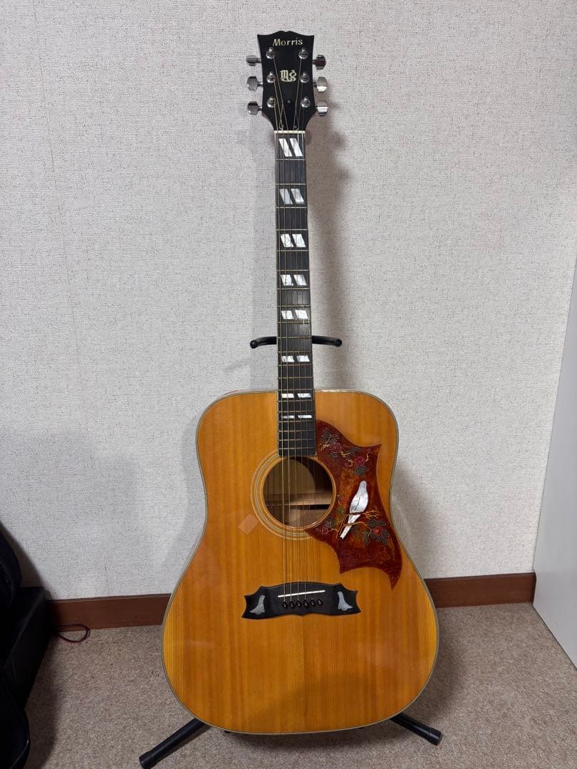 Morris MG-80オール単板 ジャパンビンテージ