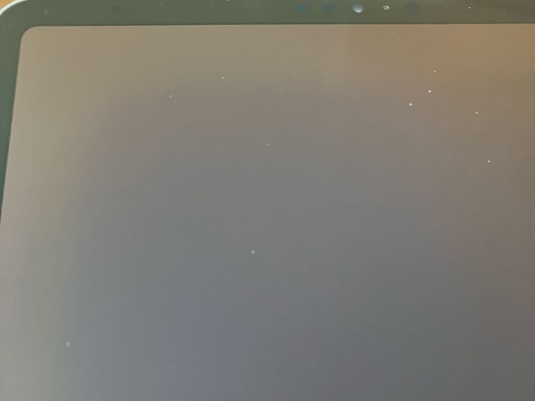 【完動品】iPad Pro 11インチ 第2世代 256GB 【すぐ発送】