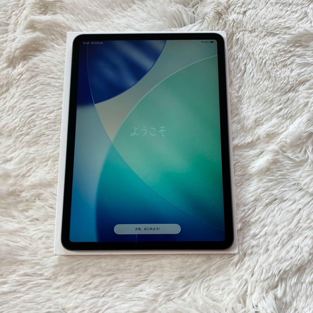 【完動品】iPad Pro 11インチ 第2世代 256GB 【すぐ発送】