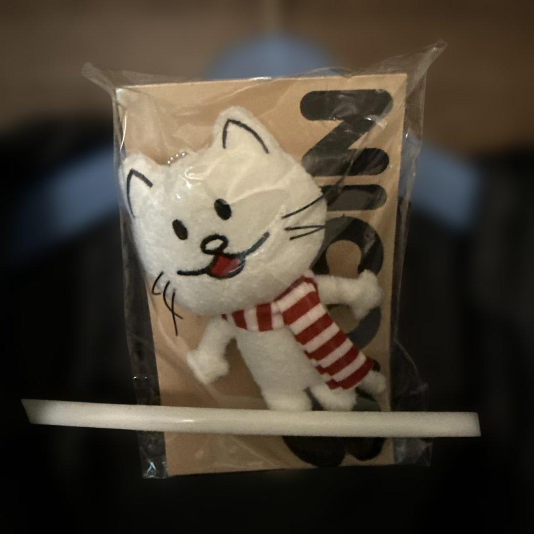 BUMP OF CHICKEN SilverJubilee ジャケット ニコル付