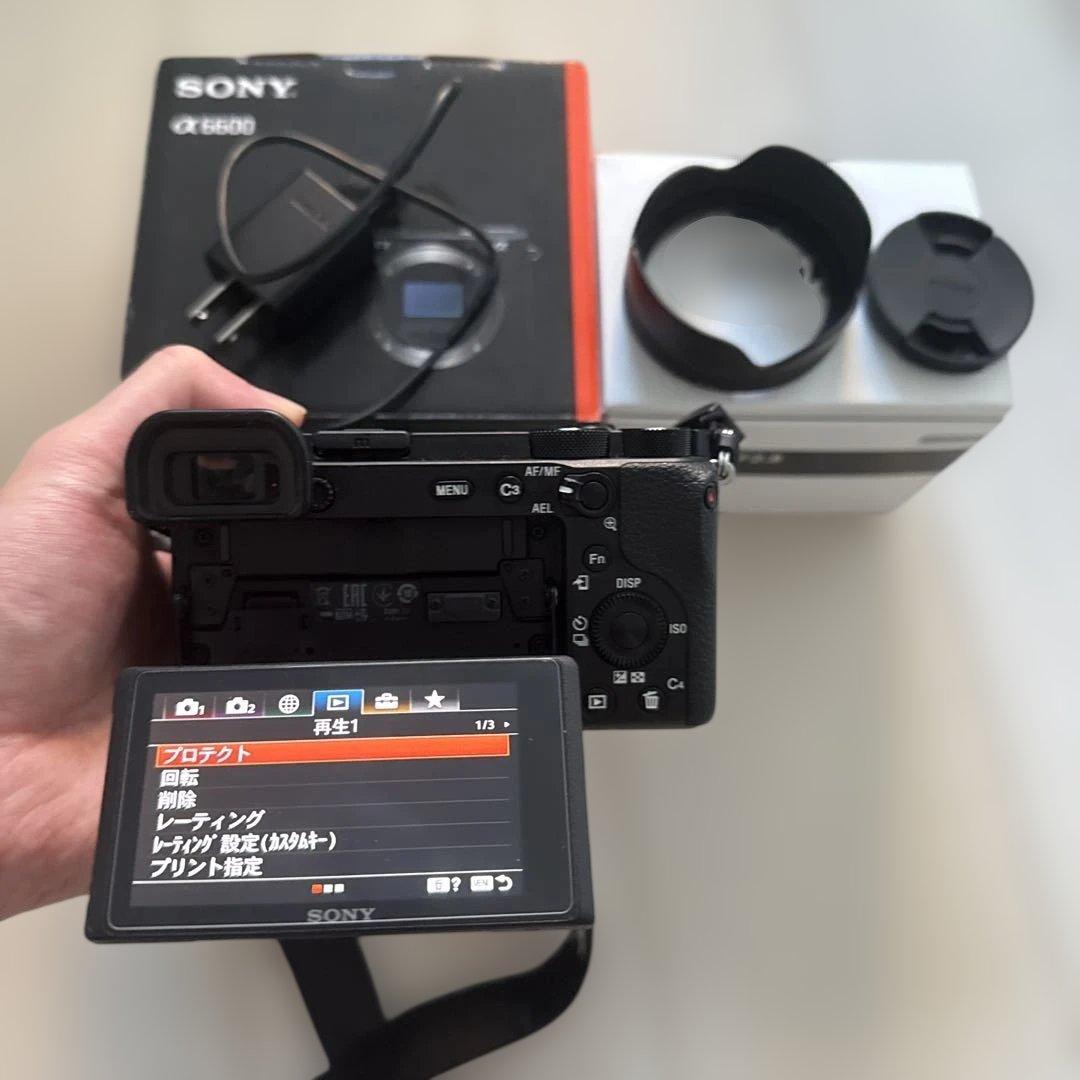 村山　SONY α6600 & SIGMA 18-50mm F2.8