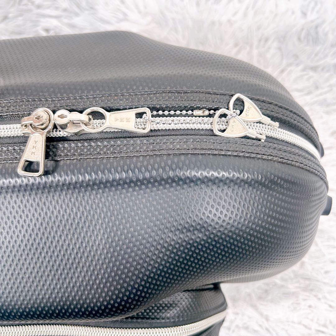 SELMER セルマー アルトサックスケース フライトケース