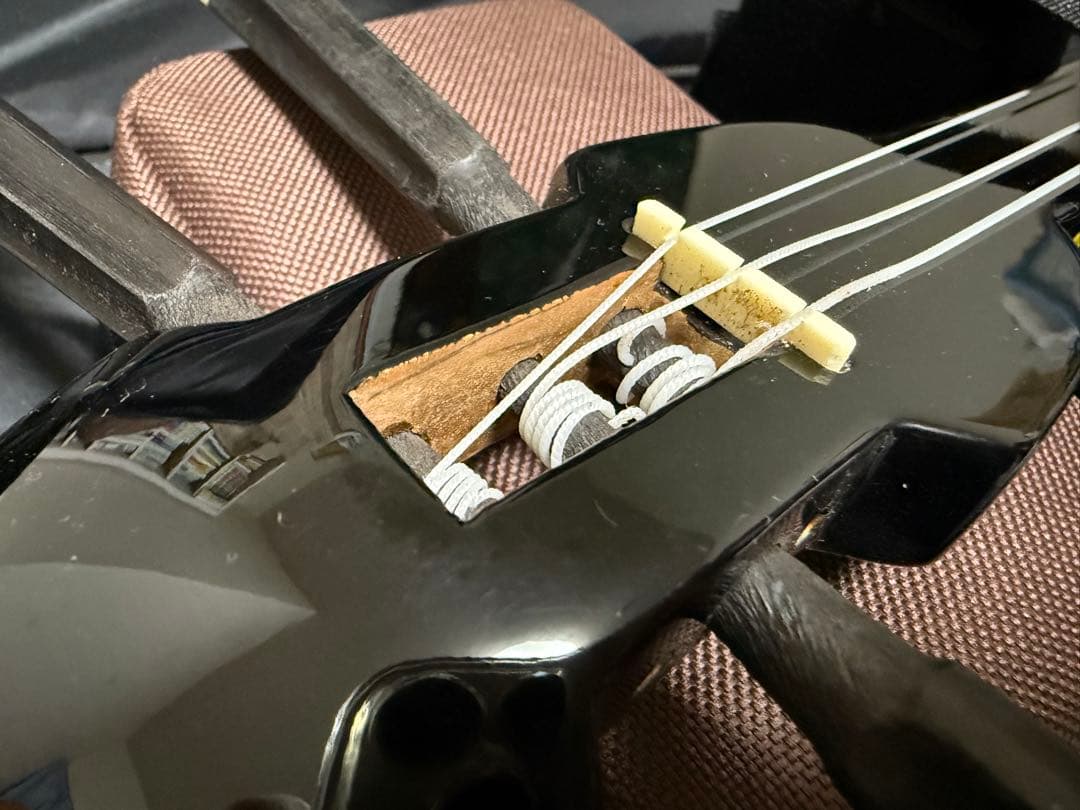 三線本体と専用ケース