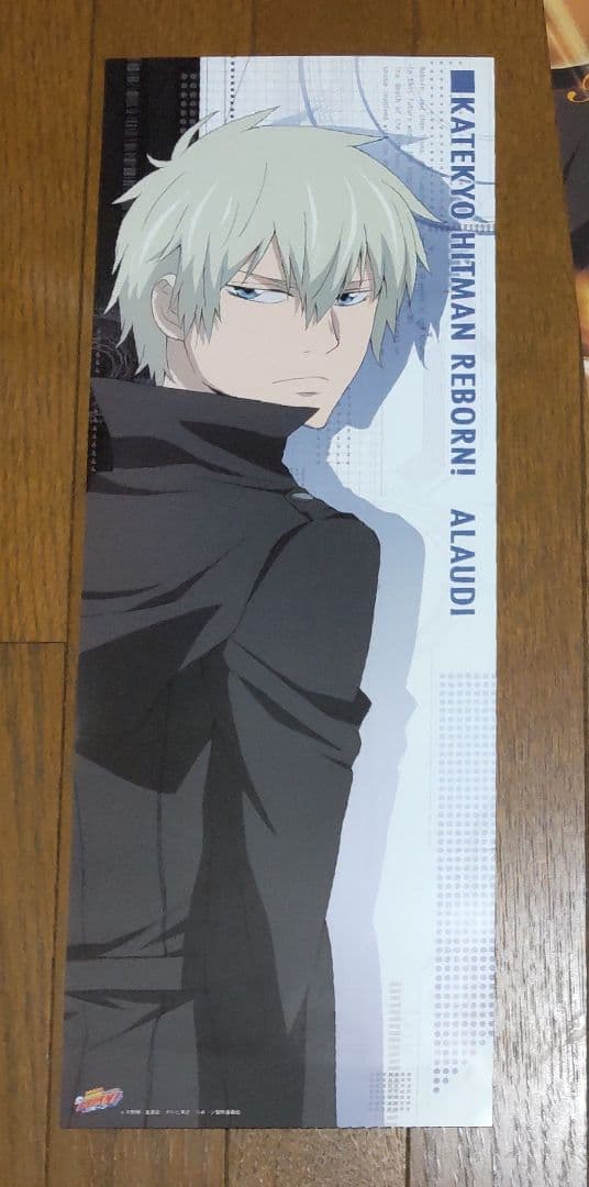 家庭教師ヒットマンREBORN！スティックポスター 13枚 まとめ売り