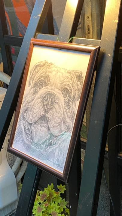「鉛筆画アート　商品名　ドッグ　　新品未使用