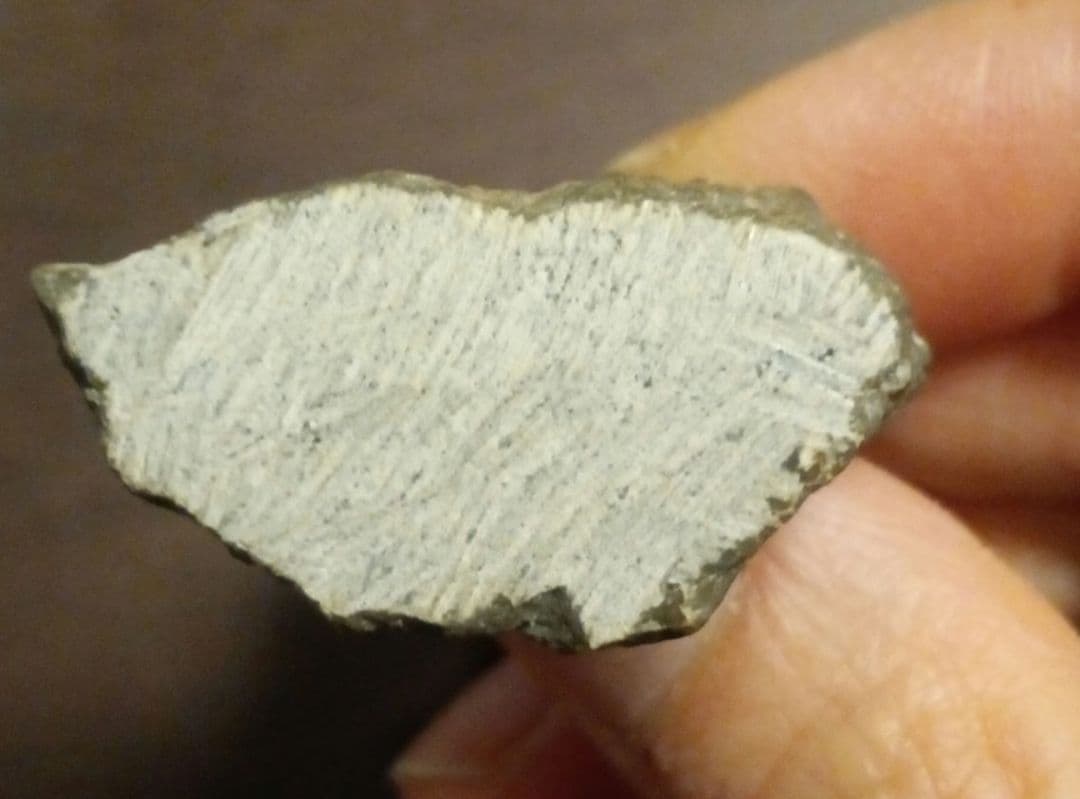 三葉虫モロッコ産④ゲラストスGerastos？化石 デボン紀