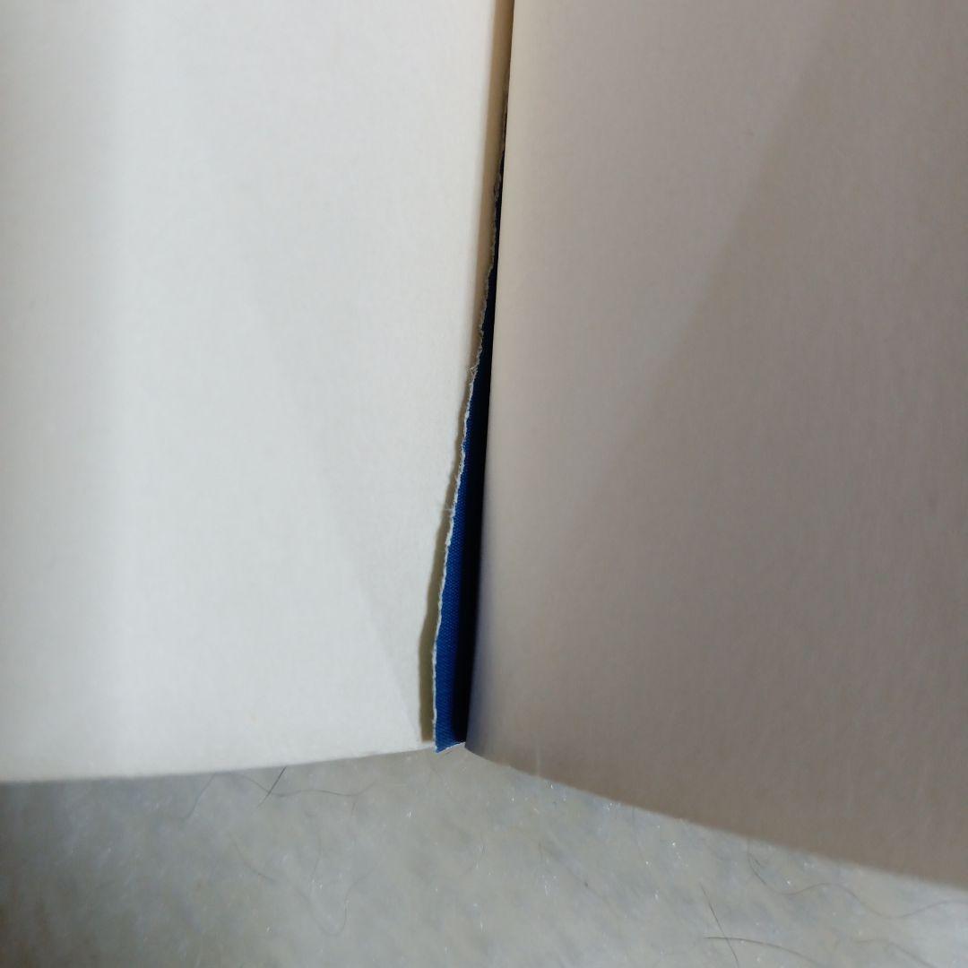 宇宙神霊記　霊界からのメッセージ 美内すずえ先生著書