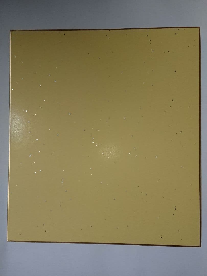 ZARD 坂井泉水 直筆サイン色紙 NOCTURNE 歌手デビュー前 値下げ可能