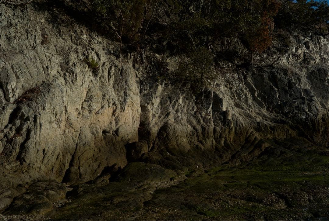 LeicaM8 デジタルカメラNOKTON Classic 40mm F1.4付