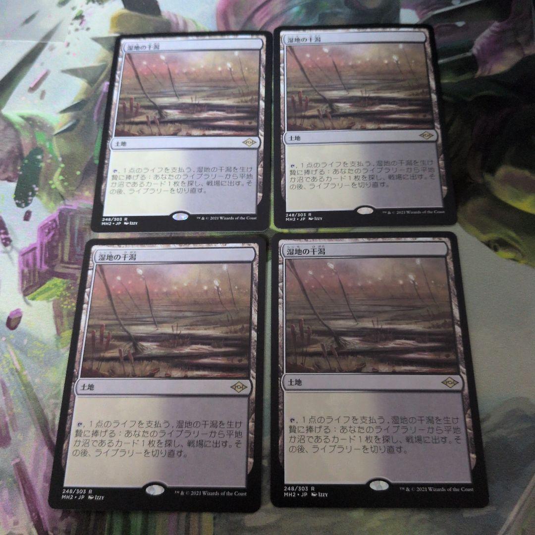 湿地の干潟 4枚セット