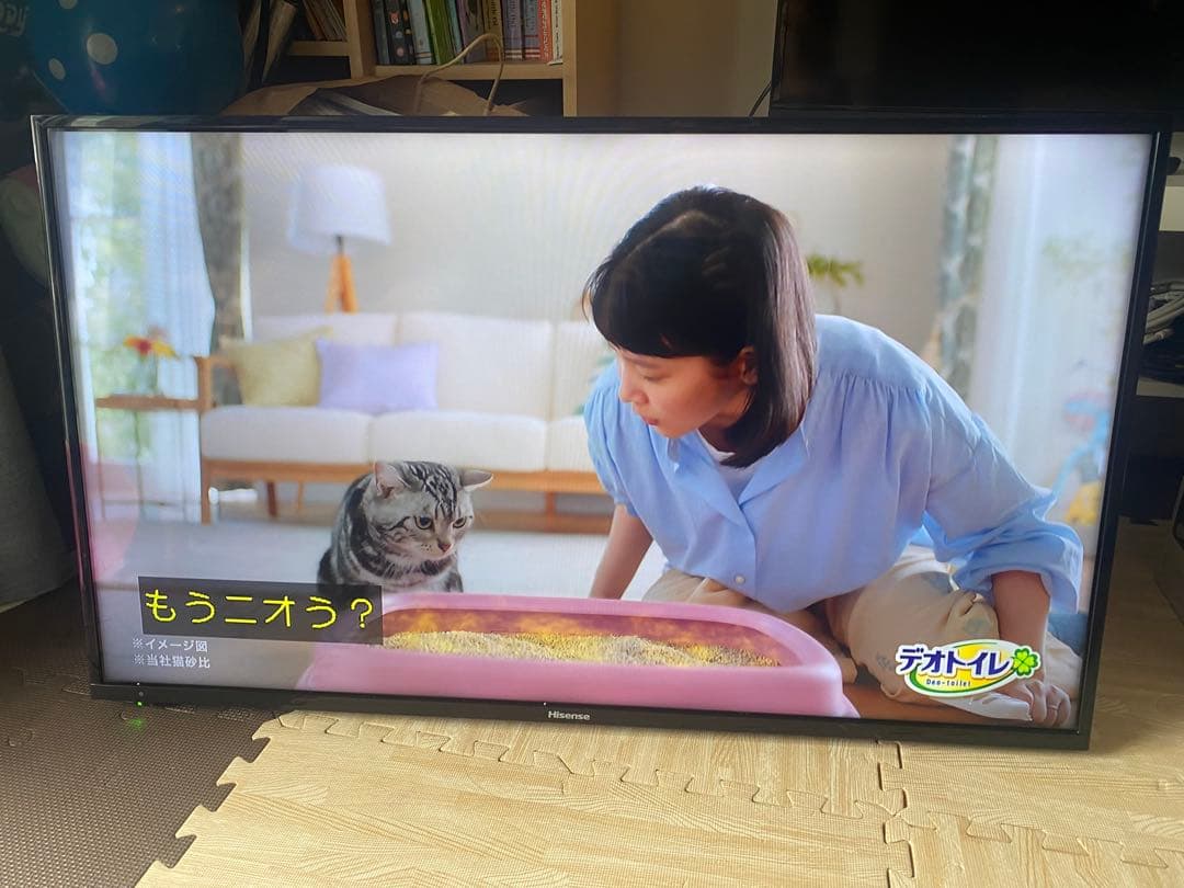 2019年製　ハイセンス43型液晶テレビ外付けHDD裏番組録画対応