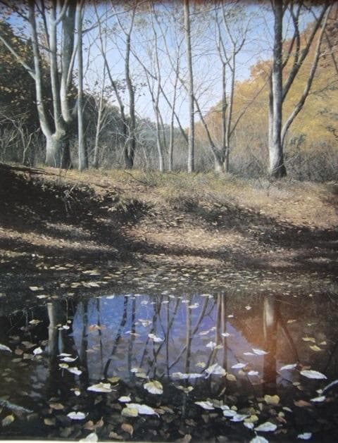 田中芳照、【落陽の池】、希少な額装用画集より、新品額装付、状態良好